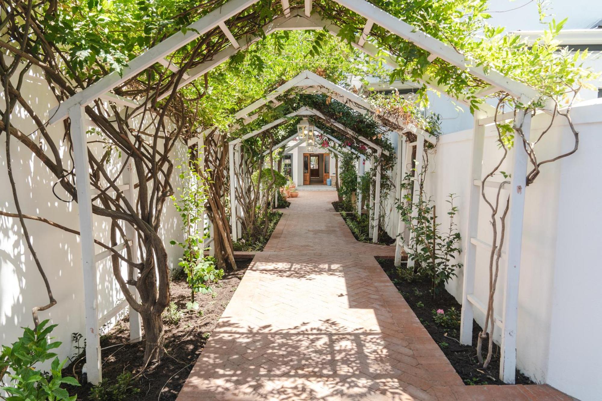 Last Word Franschhoek Exteriör bild